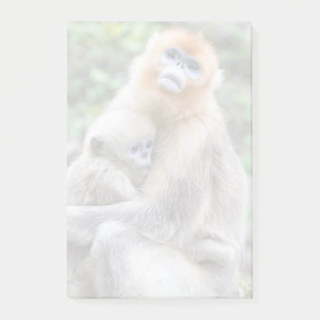 Post-it® Singe nez retroussé doré avec bébé (Devant)