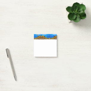 Post-it® SlipperyJoe's Fish Pride tropicale vert bleu pourp