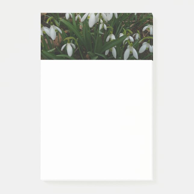Post-it® Snowdrops I (Devant)
