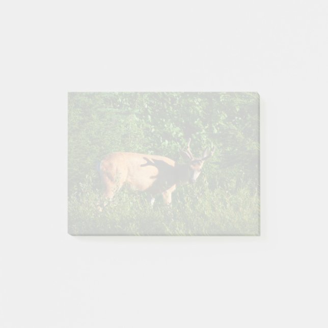Post-it® Soyez sur votre chemin (Devant)