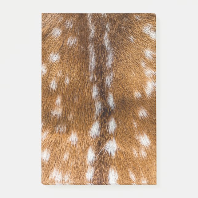 Post-it® Spotted deer pour texture (Devant)