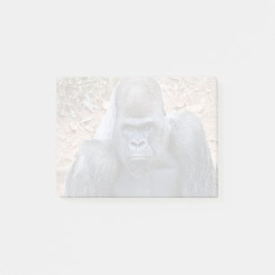 Post-it® Stade au Zoo Atlanta (2023)