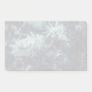 Post-it® Starry Magnolia