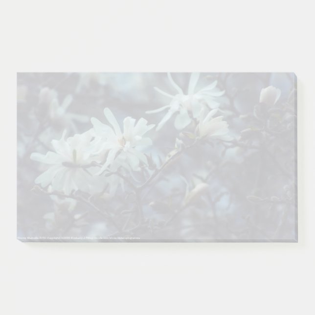 Post-it® Starry Magnolia (Devant)