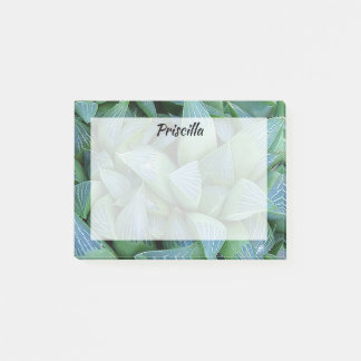 Post-it® Stickies sur mesure Plante Succulent de Green Hawo