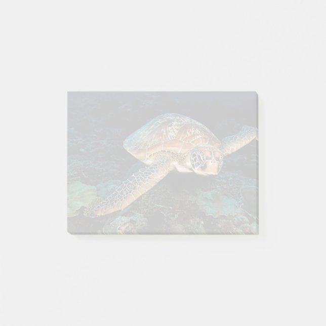 Post-it® Sulawesi | Tortue Verte (Devant)