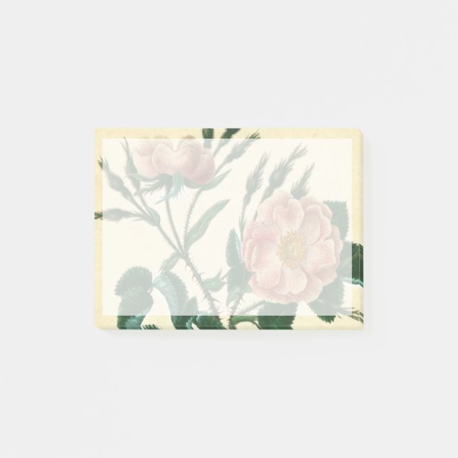 Post-it® Sweet Briar Rose (Devant)