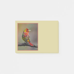 Post-it® Tangara écarlate en mue - Photographie originale