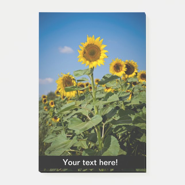 Post-it® Terrain de tournesol (Devant)
