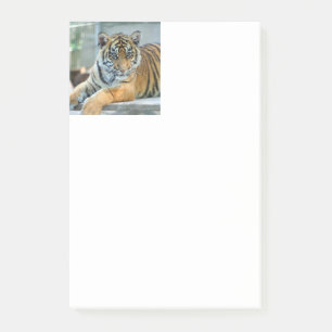 Post-it® Tigre 034