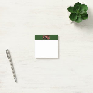 Post-it® torse masculin six pack ventre nu de SlipperyJoe