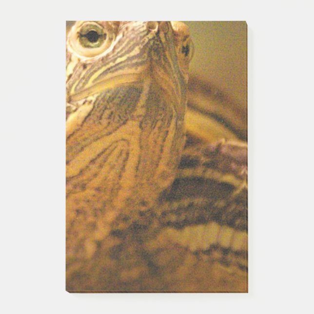 Post-it® Tortue (Devant)