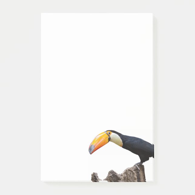 Post-it® Toucan (Devant)