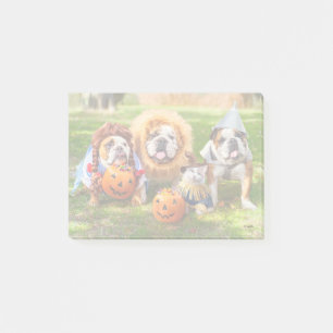 Post-it® Trois Bulldogs en costumes