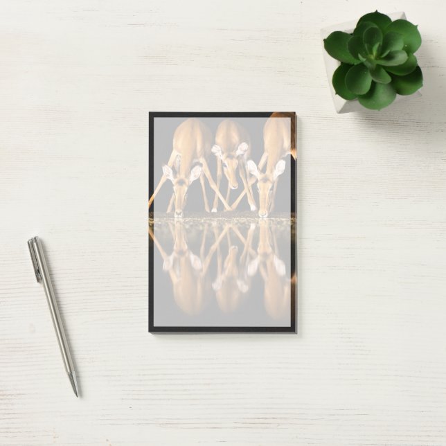 Post-it® Trois impalas boivent ensemble la nuit (Bureau)