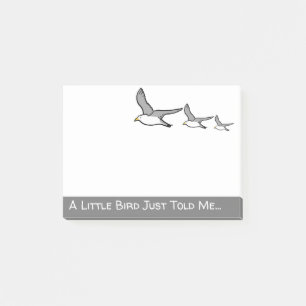 Post-it® Trois mouettes volantes dans une rangée. Birder