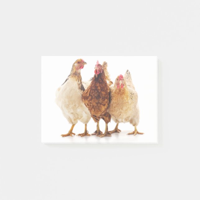 Post-it® Trois poulets (Devant)
