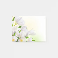 Tulipes blanches post-notes