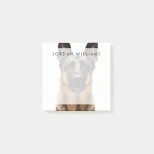 Post-it® Un berger allemand assis