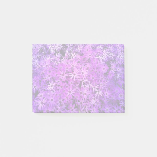 Post-it® Un champ de marguerites violettes et roses (Devant)