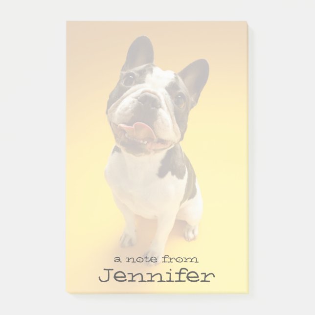 Post-it® Un chien de taureau français en quête (Devant)