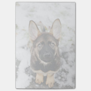 Post-it® Un coquelicot mignon qui regarde