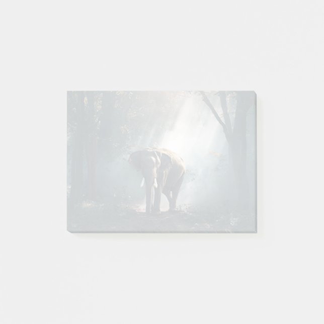 Post-it® Un éléphant asiatique dans un défrichement éclairé (Devant)