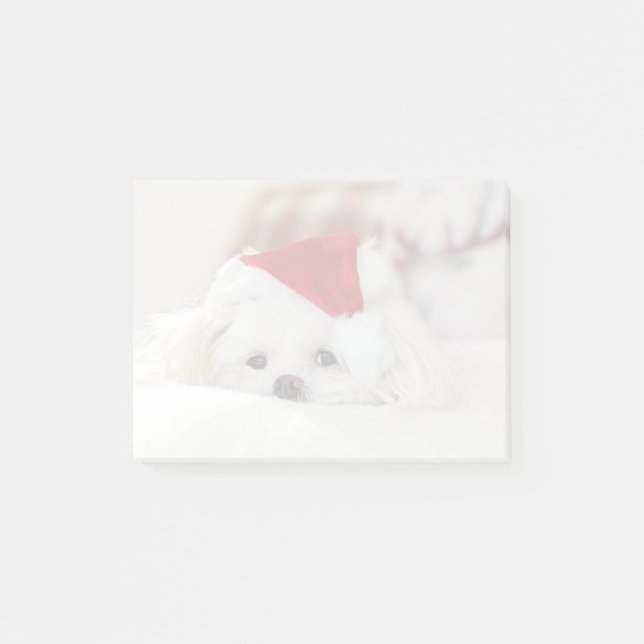 Post-it® Un mignon chien blanc dans un Casquette de Noël ro (Devant)