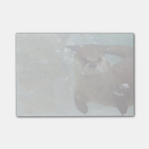 Post-it® Une natation Brown mignonne de loutre dans une