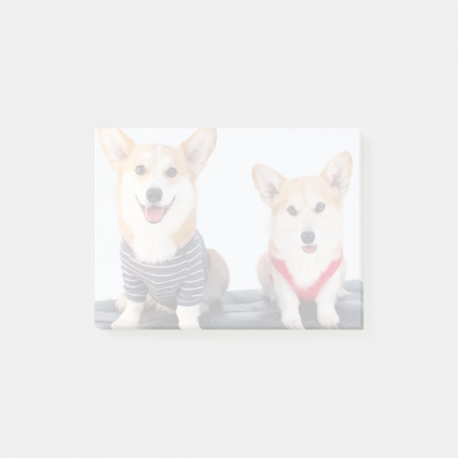 Post-it® Une paire de Corgis se reposant sur un banc (Devant)