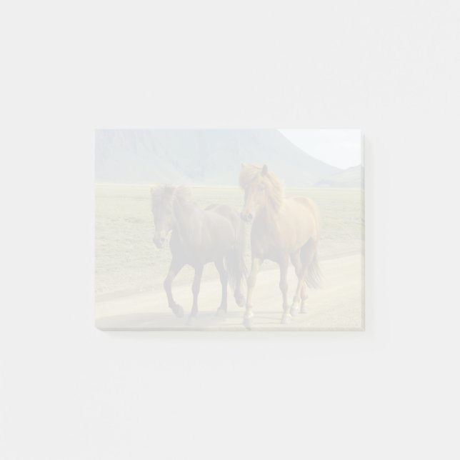 Post-it® Une paire de poneys islandais bruns (Devant)