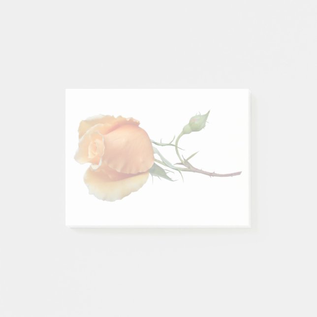 Post-it® Une seule bouture de rose       (Devant)
