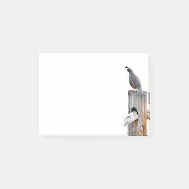 Post-it® Valley Quail Photo 4x3 Notes Papier (Devant)