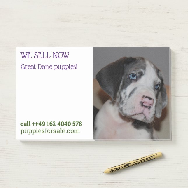 Post-it® Vente de marionnettes notes (Sur un bureau)