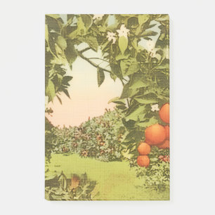 Post-it® Verger d'orange vintage