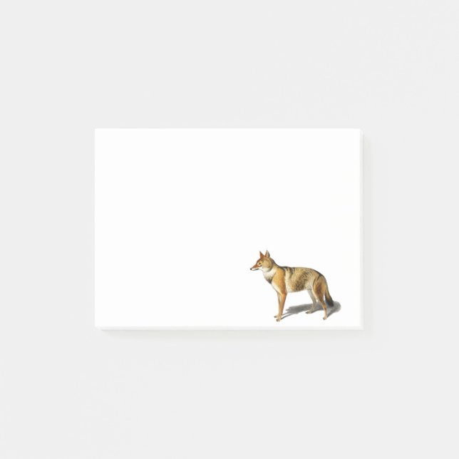 Post-it® Vintage FOX WOLF golden Jackal illustration (Devant)