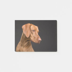 Post-it® Vizsla