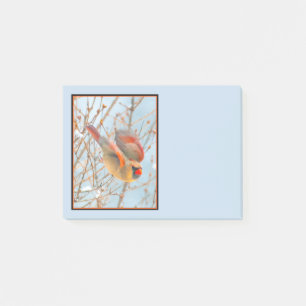 Post-it® Vol Cardinal Nord - Photo originale