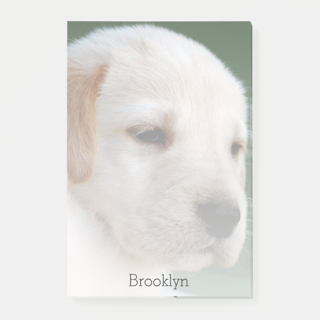 Post-it® Votre photo se fane automatiquement graduellement (Devant)