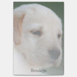 Post-it® Votre photo se fane automatiquement graduellement