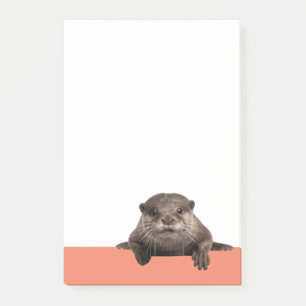 Post-it® Weasels d'eau - Cute Otter