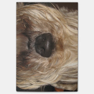 Post-it® wheaton enduit mou terrier.png