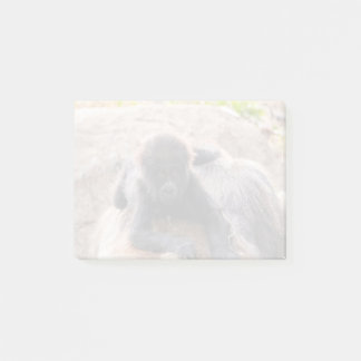 Post-it® Willie B III à Zoo Atlanta (2023)