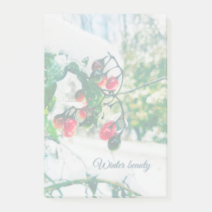 Post-it® Winter beauty