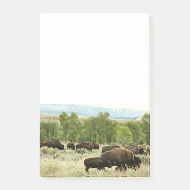 Post-it® Wyoming Bison Nature Animal Photographie (Devant)