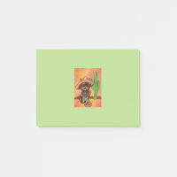 Yorkie poo mexique