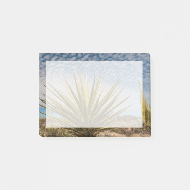 Post-it® Yucca dans le désert, Mexique (Devant)
