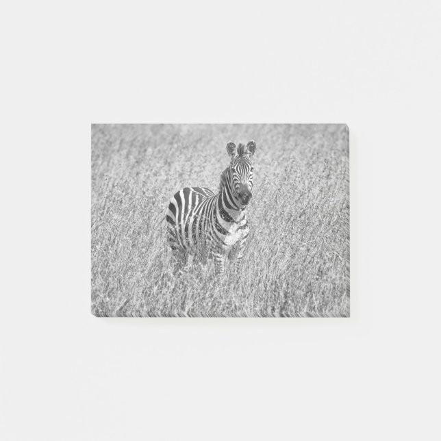 Post-it® Zebra (Devant)