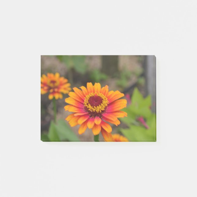 Post-it® Zinnia assez orange (Devant)
