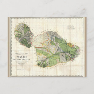 Postale 1885 De Witt Alexander Carte de Maui, Hawaii